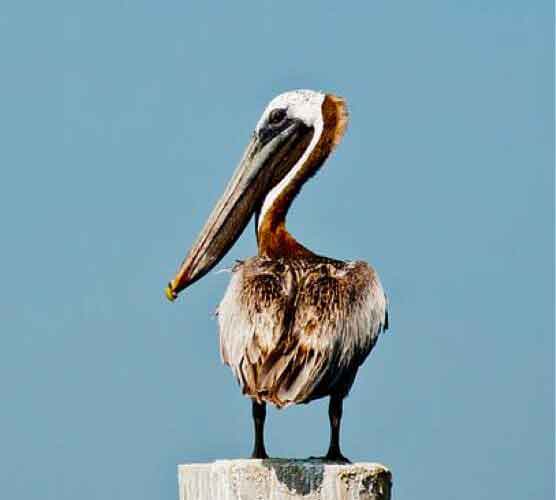 ddos在线攻击测试网站